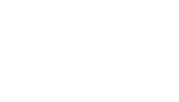 Evergreen Mini Excavation